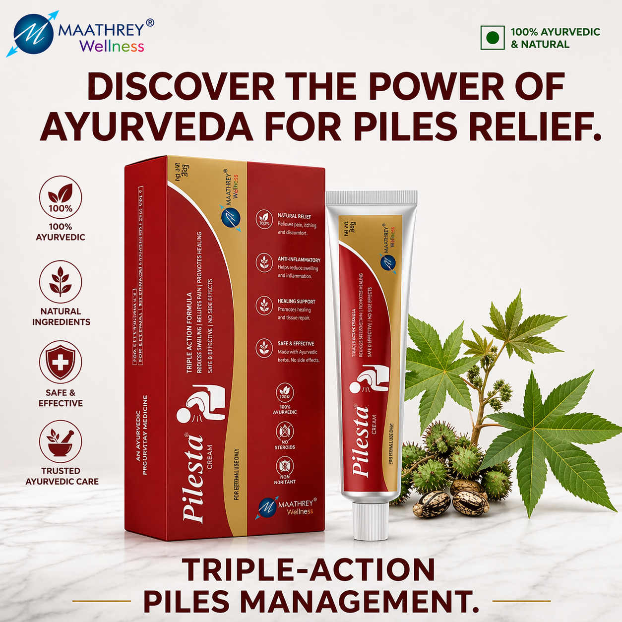 Pilesta Ointment – Herbal Cream for External Care